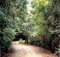 Mt Glorious Getaway Cottages And Conference Centre - Accommodation Bookings