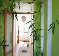 Lumina Interiors 