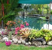 Daintree Wild Bed And Breakfast - Accommodation Bookings