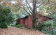 Turkeys Nest Rainforest Cottage - thumb 0
