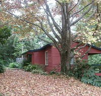 Turkeys Nest Rainforest Cottage - Accommodation Bookings