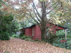 Turkeys Nest Rainforest Cottage - Accommodation Bookings 0