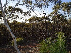 Contine ACT Accommodation Bookings