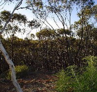 Lions Dryandra Woodlands Village - Accommodation Bookings