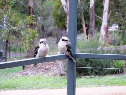 The Ripley Family Holiday Retreat - Accommodation Bookings 9