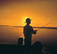 Point Stuart Wilderness Lodge - Accommodation Bookings
