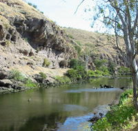 Paringa Cottage - Accommodation Bookings
