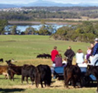 Bonny Brae - Accommodation Bookings