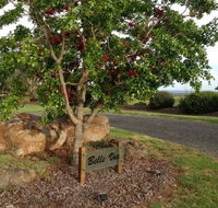 Belle Vue Studio - Accommodation Bookings