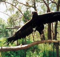 Curlew Hill Sanctuary - Accommodation Bookings