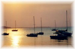 Apartment 8 Peninslua Waters - Accommodation Bookings 3
