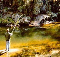 Markdale Homestead - Accommodation Bookings