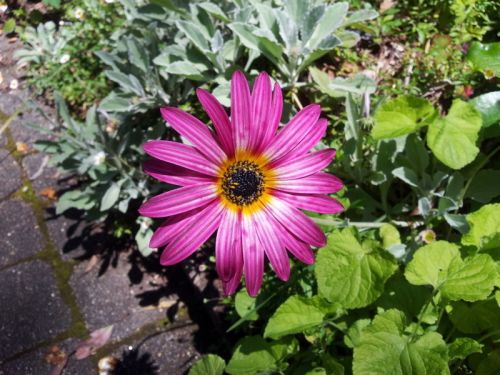Tawonga South VIC Accommodation Bookings