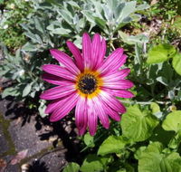 Kiewa Country Cottages - Accommodation Bookings