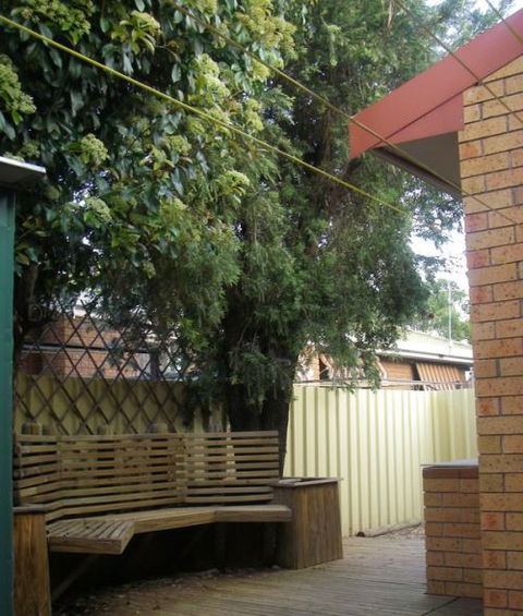 Szephora House - Accommodation Bookings 4