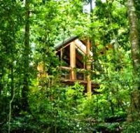 Fur'N'Feathers Rainforest Tree Houses - Accommodation Bookings