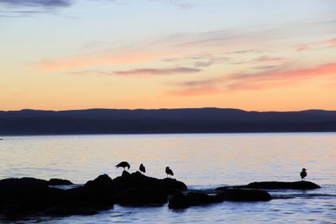 The Blue House Coles Bay - Accommodation Bookings 5