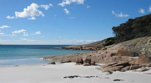 The Blue House Coles Bay - Accommodation Bookings 8