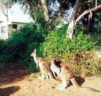 Avoca Dell Caravan Park - Accommodation Bookings