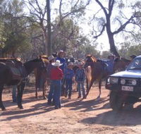 Evening Star Tourist Park - Accommodation Bookings