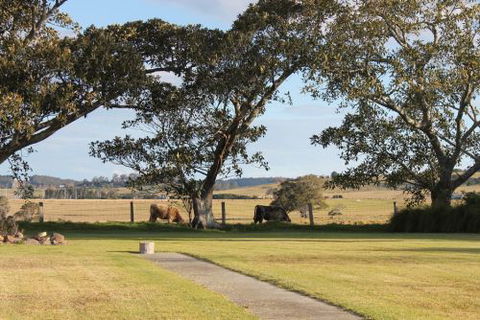 Old Schoolhouse Milton - Accommodation Bookings 7