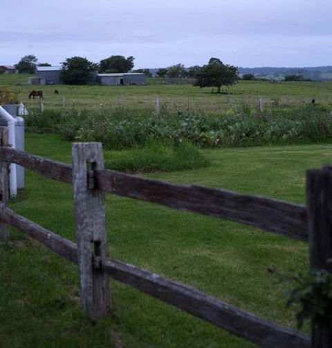 Old Schoolhouse Milton - Accommodation Bookings 8