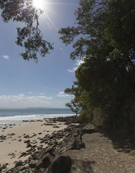 Sofitel Noosa Pacific Resort - Accommodation Bookings 36