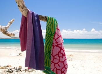Sofitel Noosa Pacific Resort - Accommodation Bookings 38