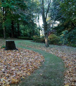 Moulton Park Estate - Accommodation Bookings 4