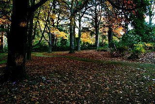 Moulton Park Estate - Accommodation Bookings 18