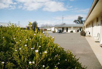 Merivale Motel - Accommodation Bookings 1
