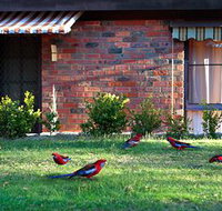Crimson Villa - Accommodation Bookings