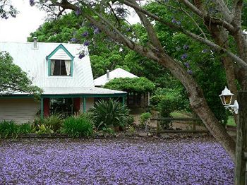 The African Cottage - Accommodation Bookings 6