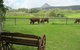 Blackwattle Farm B&B And Farm Stay - thumb 1