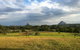 Blackwattle Farm B&B And Farm Stay - thumb 3