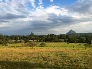 Blackwattle Farm B&B And Farm Stay - Accommodation Bookings 3