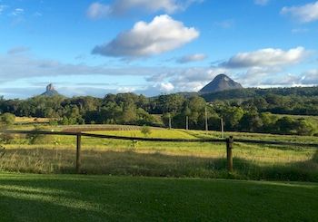 Blackwattle Farm B&B And Farm Stay - Accommodation Bookings 7