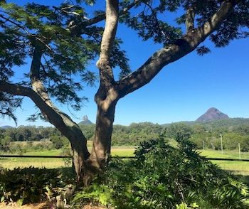 Blackwattle Farm B&B And Farm Stay - Accommodation Bookings 9