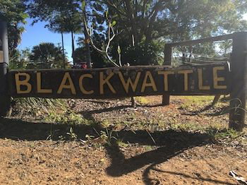 Blackwattle Farm B&B And Farm Stay - Accommodation Bookings 10