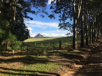 Blackwattle Farm B&B And Farm Stay - Accommodation Bookings 12