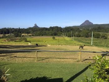 Blackwattle Farm B&B And Farm Stay - Accommodation Bookings 29