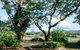 Blackwattle Farm B&B And Farm Stay - thumb 45