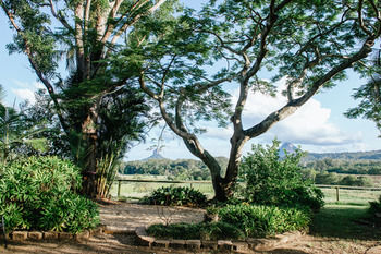 Blackwattle Farm B&B And Farm Stay - Accommodation Bookings 45