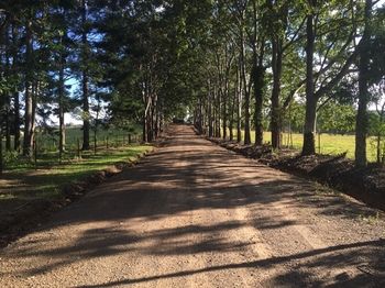 Blackwattle Farm B&B And Farm Stay - Accommodation Bookings 46