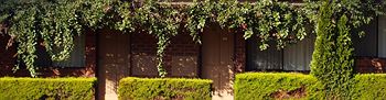 Nunawading Motor Inn - Accommodation Bookings 30