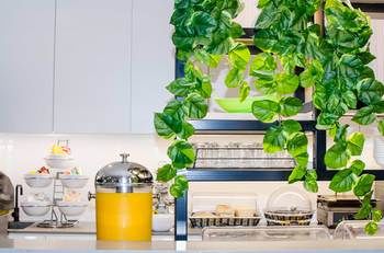 Ibis Budget Sydney East - Accommodation Bookings 29