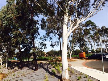 Box Hill Studios At Canterbury Gardens - Accommodation Bookings 0