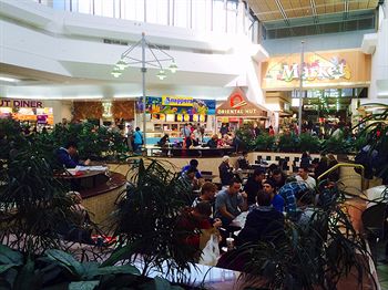 Box Hill Studios At Canterbury Gardens - Accommodation Bookings 4