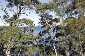 The Edgewater Bed & Breakfast - Accommodation Bookings 0