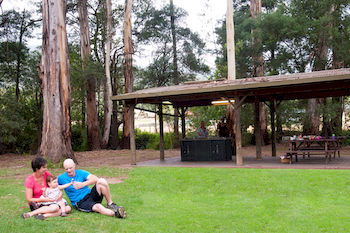 BIG4 Yarra Valley Holiday Park - Accommodation Bookings 0